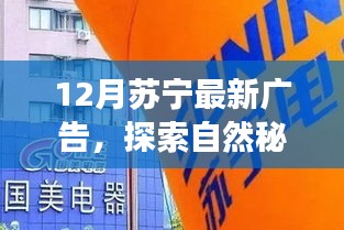 苏宁最新广告，启程探索自然秘境，心灵之旅开启宁静与平和之旅