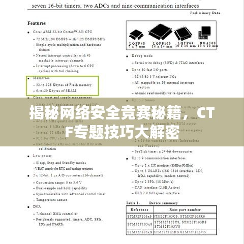 揭秘网络安全竞赛秘籍，CTF专题技巧大解密